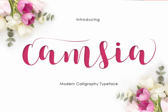 Camsia: A Handwritten Font That Elevates Your Design and Workflow