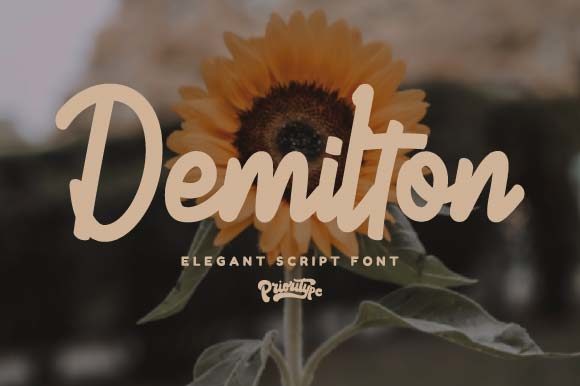 Demilton: A Handwritten Font That Brings Personality to Your Creations