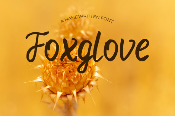Foxglove Font: Elegant Script for Modern Design