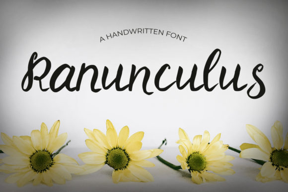 Ranunculus Font: A Delicate Touch for Personalized Designs